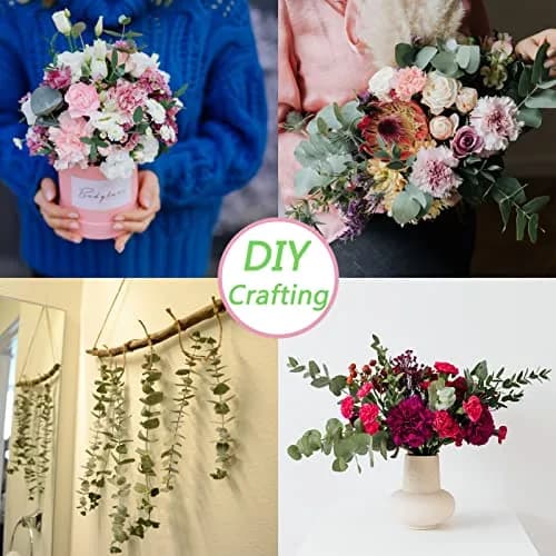 FAVOWREATH 20 Pcs Dried Eucalyptus Stems 42.9 cm (17 inches) | Natural Scent Activation for Showers & Home Decor thumbnail 6