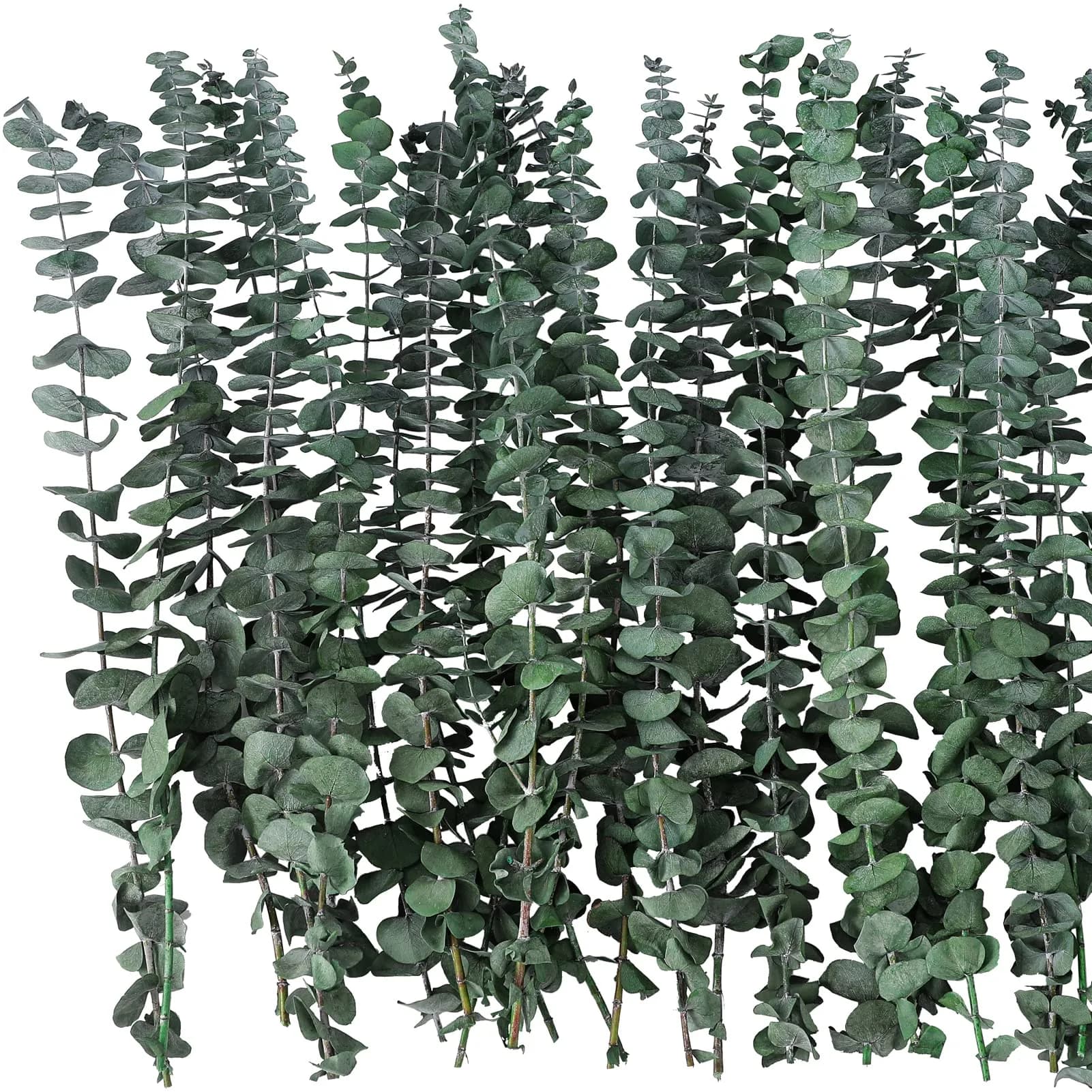 FAVOWREATH 20 Pcs Dried Eucalyptus Stems 42.9 cm (17 inches) | Natural Scent Activation for Showers & Home Decor - view 2