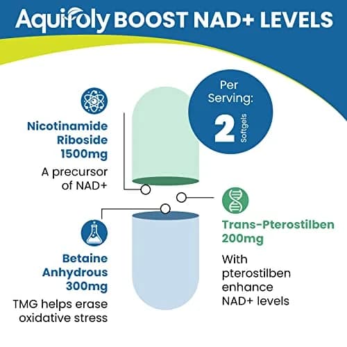 Aesticum Liposomal Nicotinamide Riboside Supplement 2000 mg | Boost NAD+ & Cellular Energy thumbnail 4