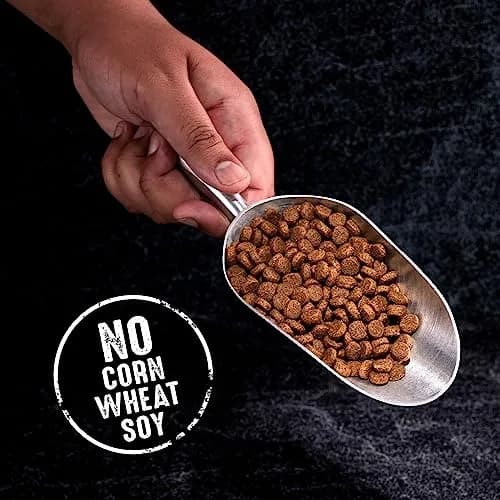 CRAVE Grain Free High Protein Adult Dry Dog Food, White Fish & Salmon, 13.6kg (30 lb) | Protein-Rich, Grain-Free Nutrition thumbnail 7