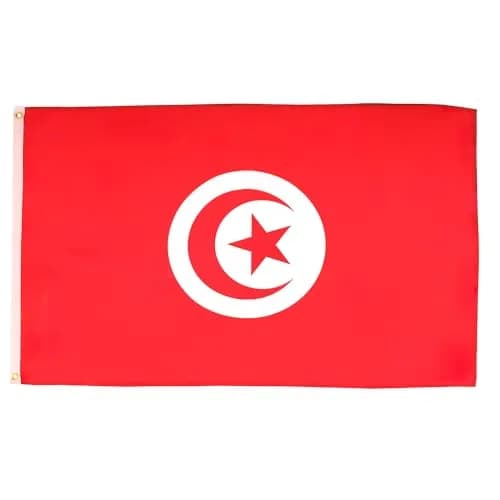 AZ FLAG Tunisia Flag 2x3 ft | Patriotic Polyester Flag with Grommets for Indoor Use thumbnail 1