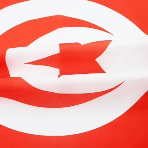 AZ FLAG Tunisia Flag 2x3 ft | Patriotic Polyester Flag with Grommets for Indoor Use thumbnail 3