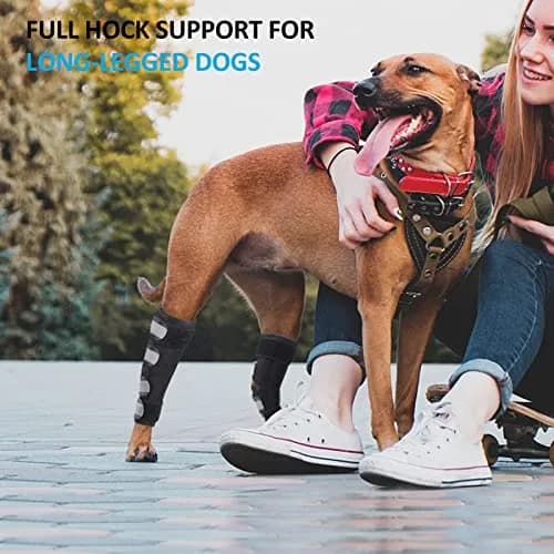 Bawektrl Dog Leg Brace for Rear Legs, Canine Hind Hock Brace, Joint Compression Wraps Support for Back Leg with Injury Sprain, Wound Care and Loss of Stability from Arthritis Torn ACL CCL (1 Pair, XLarge) thumbnail 2