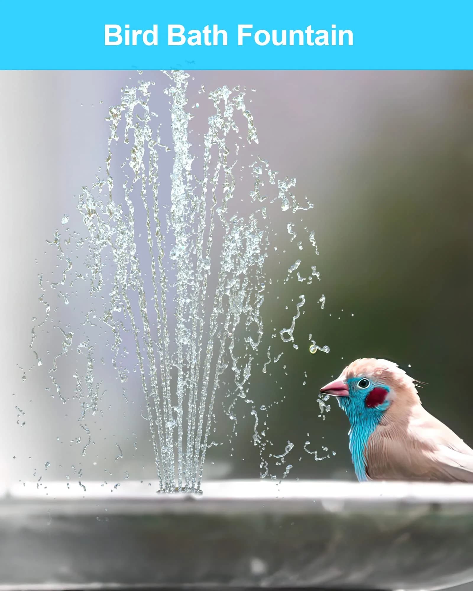 Biling 6.5W Solar Water Pump 250L/h 40-80cm Spray Height | Dry-Run Protected Fountain Pump for Bird Baths & Ponds - view 7
