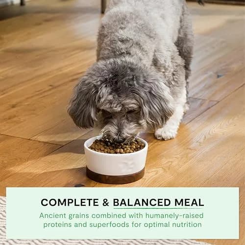 Open Farm Ancient Grains Dry Dog Food Small Breed Kibble 1.81 kg (4lb) | High Protein, Traceable Ingredients thumbnail 4