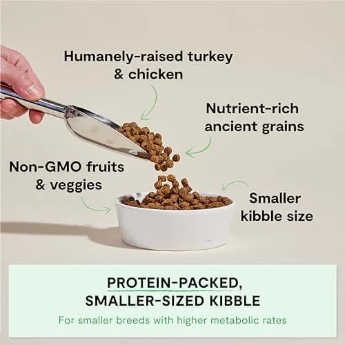 Open Farm Ancient Grains Dry Dog Food Small Breed Kibble 1.81 kg (4lb) | High Protein, Traceable Ingredients thumbnail 2