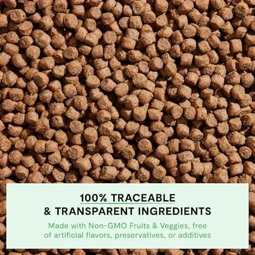 Open Farm Ancient Grains Dry Dog Food Small Breed 11 lb | Nutrient-Dense, Grain-Inclusive, Traceable thumbnail 5