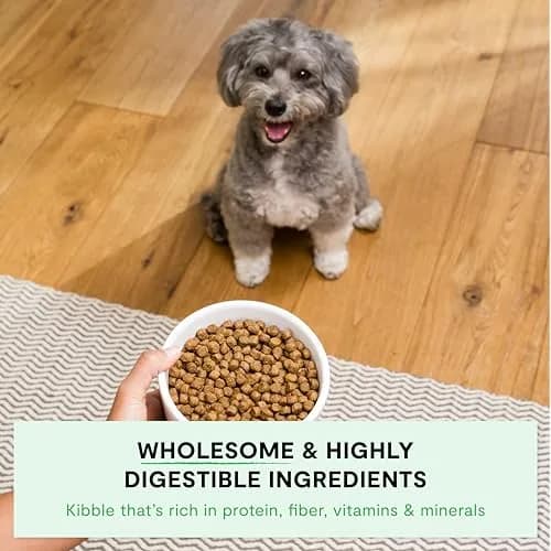 Open Farm Ancient Grains Dry Dog Food Small Breed 11 lb | Nutrient-Dense, Grain-Inclusive, Traceable thumbnail 3