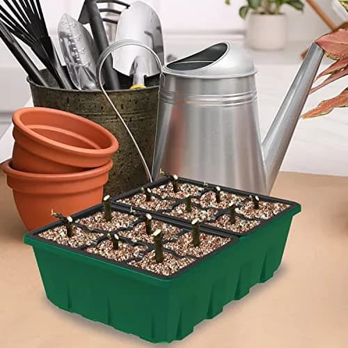 Gardzen 10 Pack Seed Starter Trays with Dome and Green Base 120 Cell | Grow Seedlings Indoors thumbnail 6