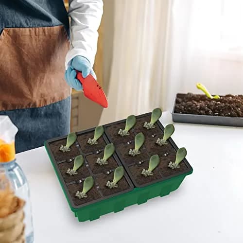 Gardzen 10 Pack Seed Starter Trays with Dome and Green Base 120 Cell | Grow Seedlings Indoors thumbnail 7