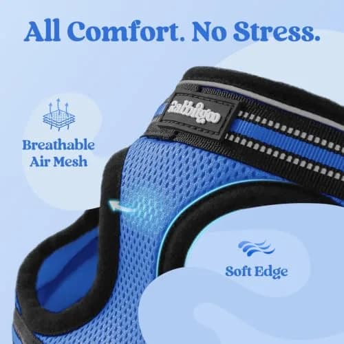 rabbitgoo Cat Harness and Leash Set, Step-in Soft Vest, Blue | Adjustable Escape-Resistant Fit thumbnail 7