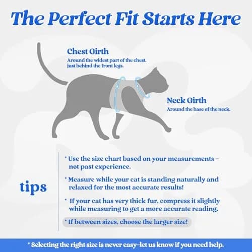 rabbitgoo Cat Harness and Leash Set, Step-in Soft Vest, Blue | Adjustable Escape-Resistant Fit thumbnail 2
