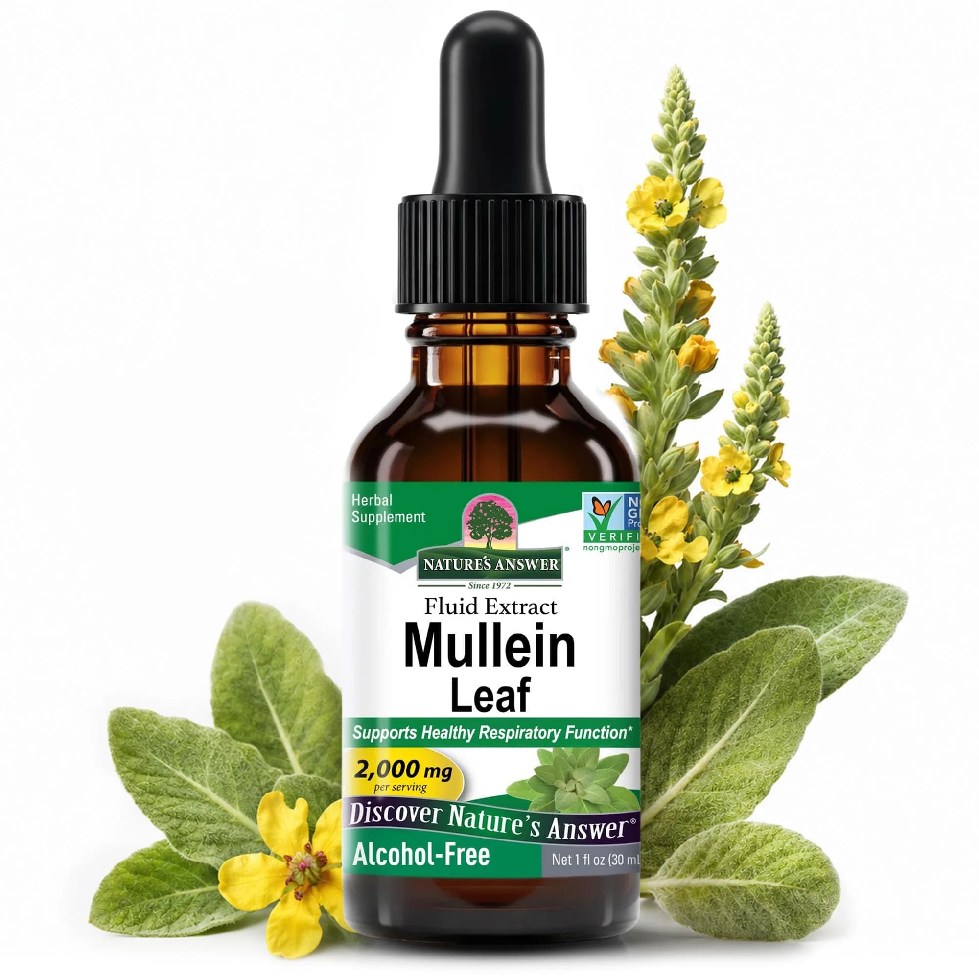 Nature's Answer Mullein Leaf Herbal Supplement 1 fl oz (29.57 ml) | Supports Respiratory Health — Herbal / 1 Fl Oz