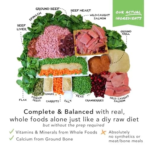 Simple Food Project - Beef & Salmon Recipe - Freeze Dried Raw Food for Dogs - 48oz | High-Quality, USA Sourced thumbnail 6