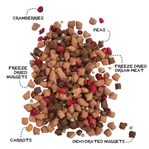Simple Food Project - Beef & Salmon Recipe - Freeze Dried Raw Food for Dogs - 48oz | High-Quality, USA Sourced thumbnail 3