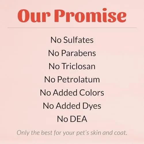 SKOUT'S HONOR Probiotic Itch Relief Shampoo for Dogs, 473 ml (16 oz) | Supports Healthy Skin & Fur thumbnail 7