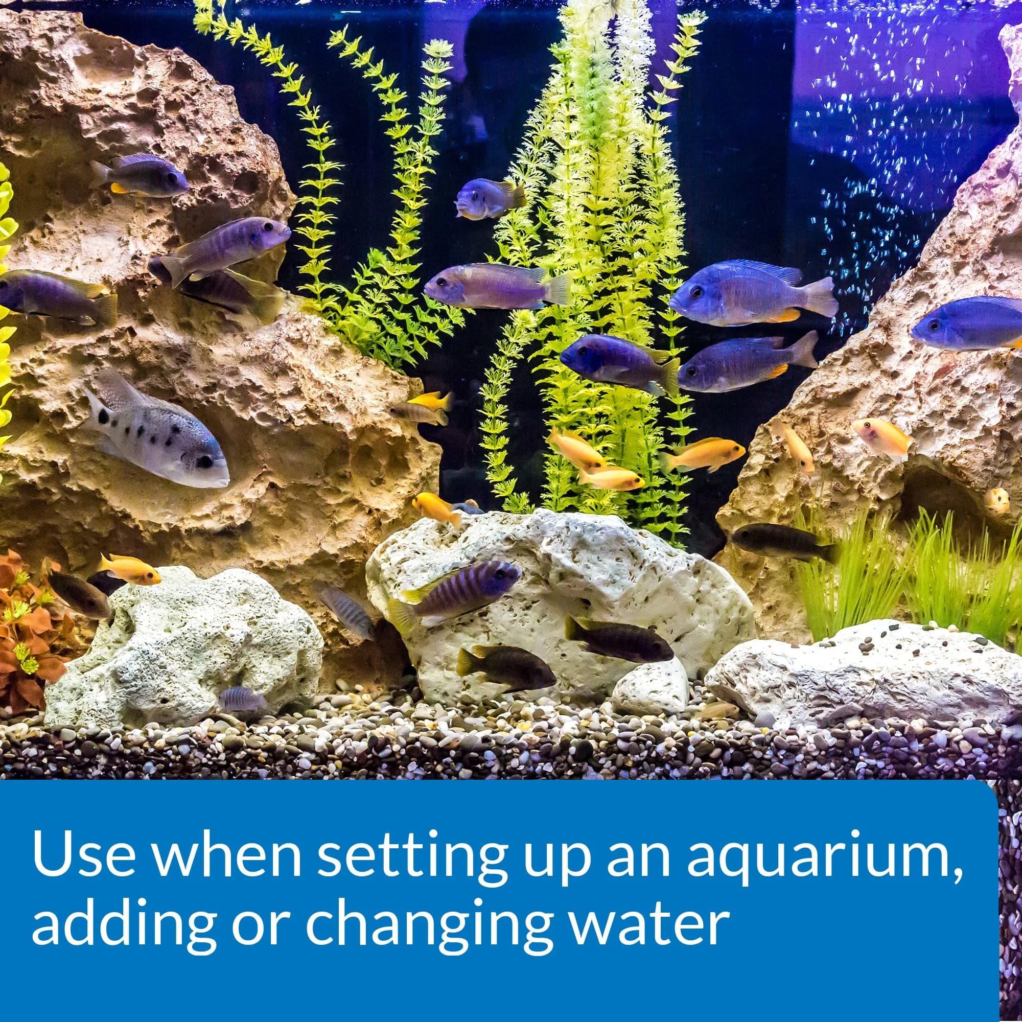 API Accu-Clear Freshwater Aquarium Water Clarifier & Tap Water Conditioner 8oz + 16oz | Clears Cloudy Water & Makes Tap Water Safe for Fish - view 6
