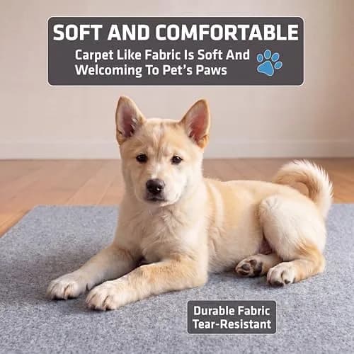 Drymate Washable Pee Pads for Dogs (29x36 Inch, 2-Pack) | Absorbent, Waterproof, Slip-Resistant Pet Training Mats thumbnail 5