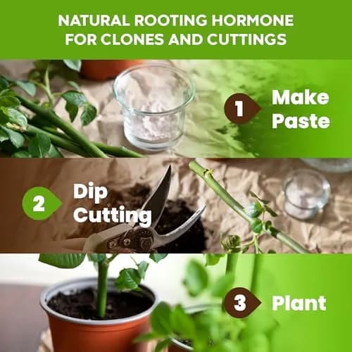 Big Foot Probiotic Root Boost Water Soluble Powder 2oz | Natural Root Growth & Nitrogen Fixation thumbnail 5