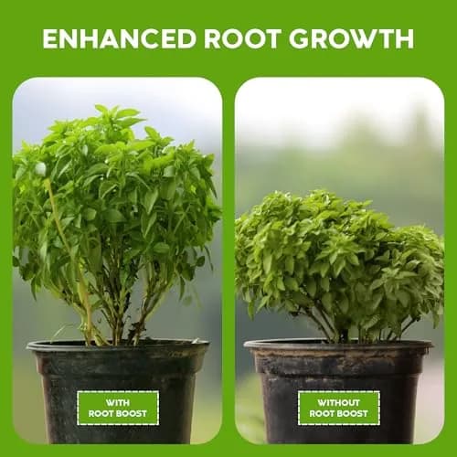 Big Foot Probiotic Root Boost Water Soluble Powder 2oz | Natural Root Growth & Nitrogen Fixation thumbnail 2