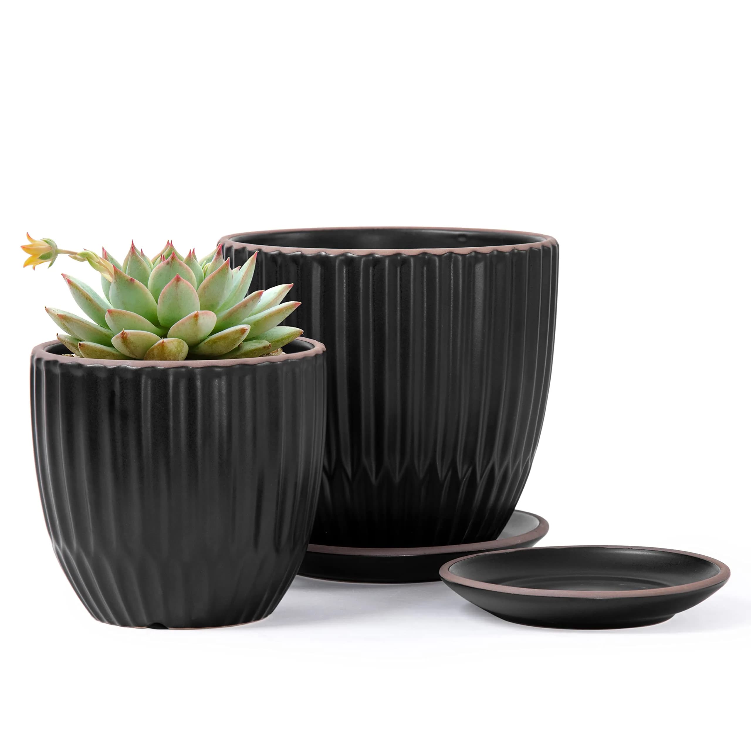 D'vine Dev 2-Pack Stoneware Planter Pots, 4.5 in & 5.8 in, Ivory | Modern Ribbed Ceramic Indoor Planters — Black