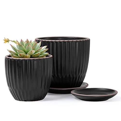 D'vine Dev 2-Pack Stoneware Planter Pots, 4.5/5.8 in, Black | Modern Ceramic Planters for Indoor & Outdoor Use thumbnail 1