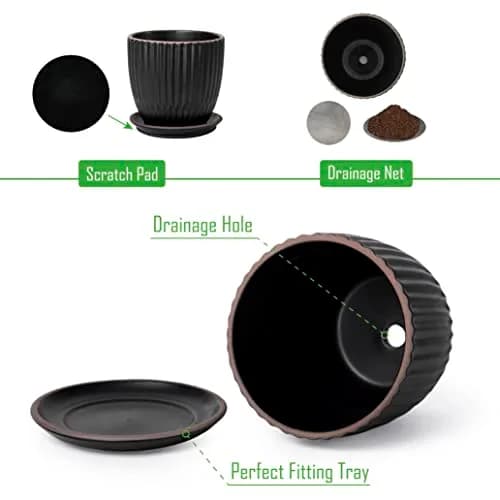 D'vine Dev 2-Pack Stoneware Planter Pots, 4.5/5.8 in, Black | Modern Ceramic Planters for Indoor & Outdoor Use thumbnail 4