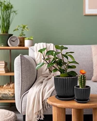 D'vine Dev 2-Pack Stoneware Planter Pots, 4.5/5.8 in, Black | Modern Ceramic Planters for Indoor & Outdoor Use thumbnail 5