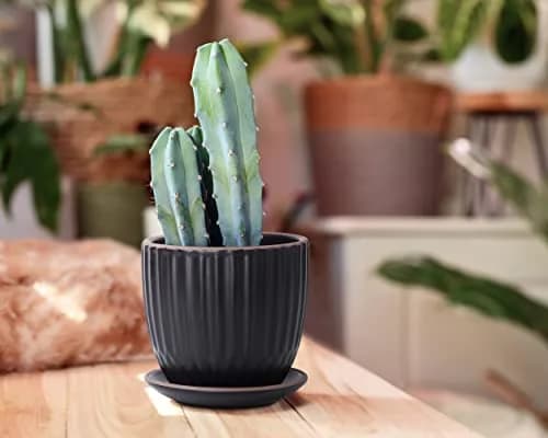 D'vine Dev 2-Pack Stoneware Planter Pots, 4.5/5.8 in, Black | Modern Ceramic Planters for Indoor & Outdoor Use thumbnail 7