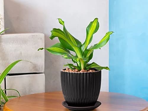 D'vine Dev 2-Pack Stoneware Planter Pots, 4.5/5.8 in, Black | Modern Ceramic Planters for Indoor & Outdoor Use thumbnail 2