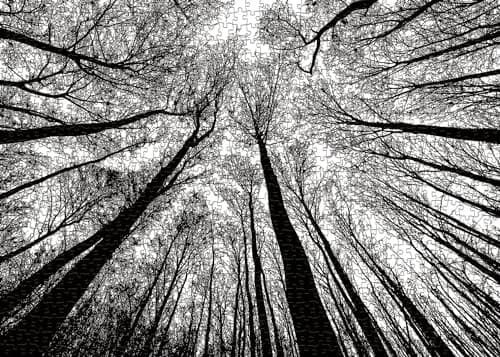 BBOLDIN Impossible Puzzle 1000 Piece, Challenging Difficult Puzzles for Adults, Hard Jigsaw Puzzles for Adults | Black White Forest Silhouette thumbnail 2