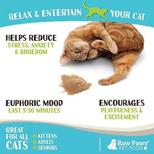 Raw Paws Silvervine Powder 75g (2.6 oz) | Potent Catnip Alternative for Indoor Cats thumbnail 3