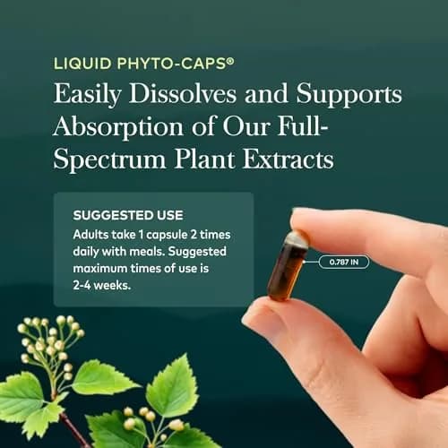 Gaia Herbs Oil of Oregano 230 mg Vegan Capsules 180 Count | Immune & Antioxidant Support with Carvacrol & Thymol thumbnail 6