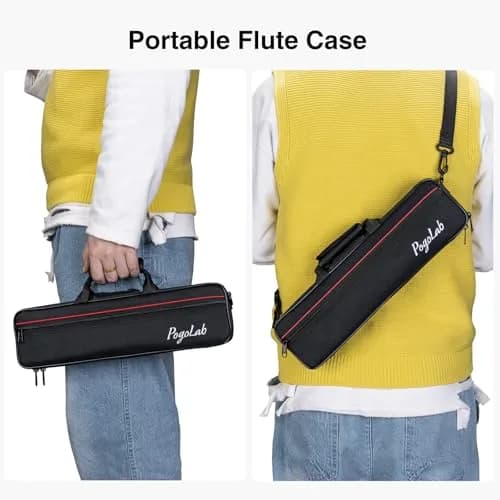 POGOLAB Open Hole C Flute 16 Keys Silver Plated Beginner & Advanced with Carry Bag thumbnail 5