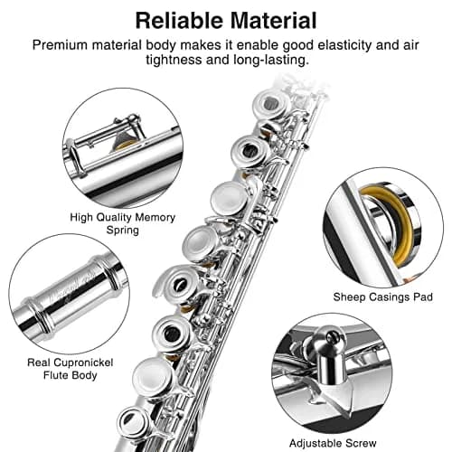 POGOLAB Open Hole C Flute 16 Keys Silver Plated Beginner & Advanced with Carry Bag thumbnail 2