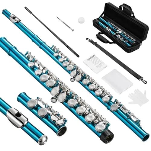 POGOLAB Flutes, Closed Hole C 16 Keys Flute for Beginners, Sky Blue | Student Brass & Woodwind Instrument thumbnail 1