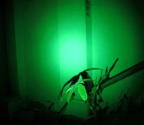 WONDSUNSON Green Light Pen Type Penlight Flashlight | 150 Lumens, Aluminum, IP44, 2 Pack thumbnail 4