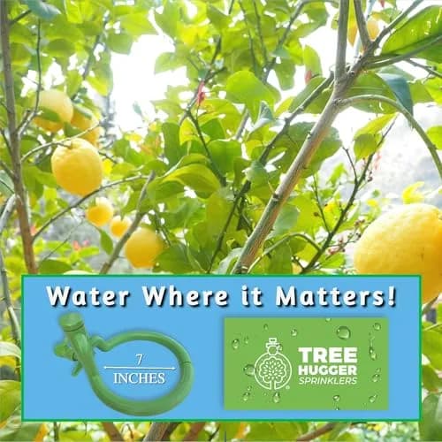 Tree Hugger Sprinkler 360° Outward Spray Tree Watering Ring 7 Inch | Targeted Root Zone Hydration for Trees thumbnail 8
