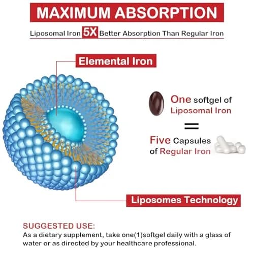 Sapotax Liposomal Fe Iron Supplement 65 mg | Blood & Energy Support for Adults thumbnail 3