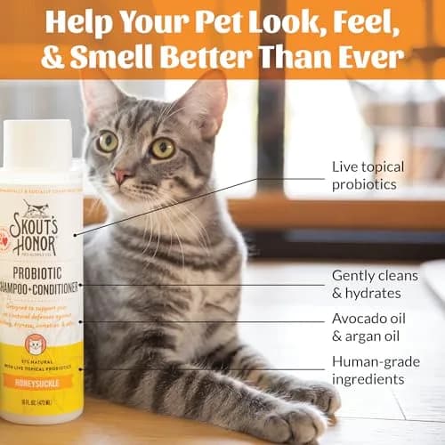 SKOUT'S HONOR Probiotic Cat Shampoo and Conditioner - Honeysuckle, 16 oz | Natural, 97% Organic, Hydrating & Cruelty-Free thumbnail 5