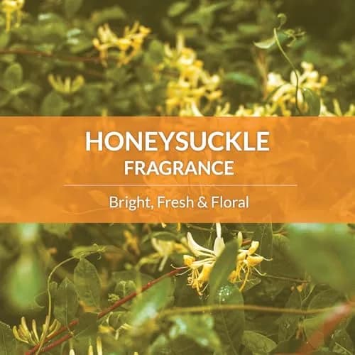 SKOUT'S HONOR Probiotic Cat Shampoo and Conditioner - Honeysuckle, 16 oz | Natural, 97% Organic, Hydrating & Cruelty-Free thumbnail 6