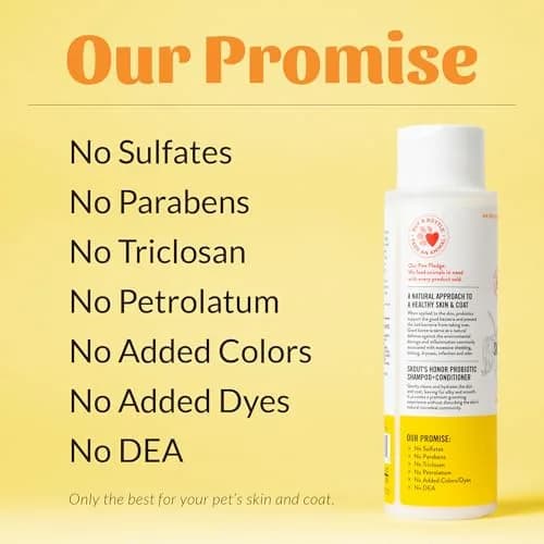 SKOUT'S HONOR Probiotic Cat Shampoo and Conditioner - Honeysuckle, 16 oz | Natural, 97% Organic, Hydrating & Cruelty-Free thumbnail 7