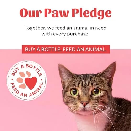 SKOUT'S HONOR Probiotic Cat Shampoo and Conditioner - Honeysuckle, 16 oz | Natural, 97% Organic, Hydrating & Cruelty-Free thumbnail 8