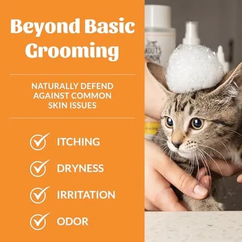 SKOUT'S HONOR Probiotic Cat Shampoo and Conditioner - Honeysuckle, 16 oz | Natural, 97% Organic, Hydrating & Cruelty-Free thumbnail 3
