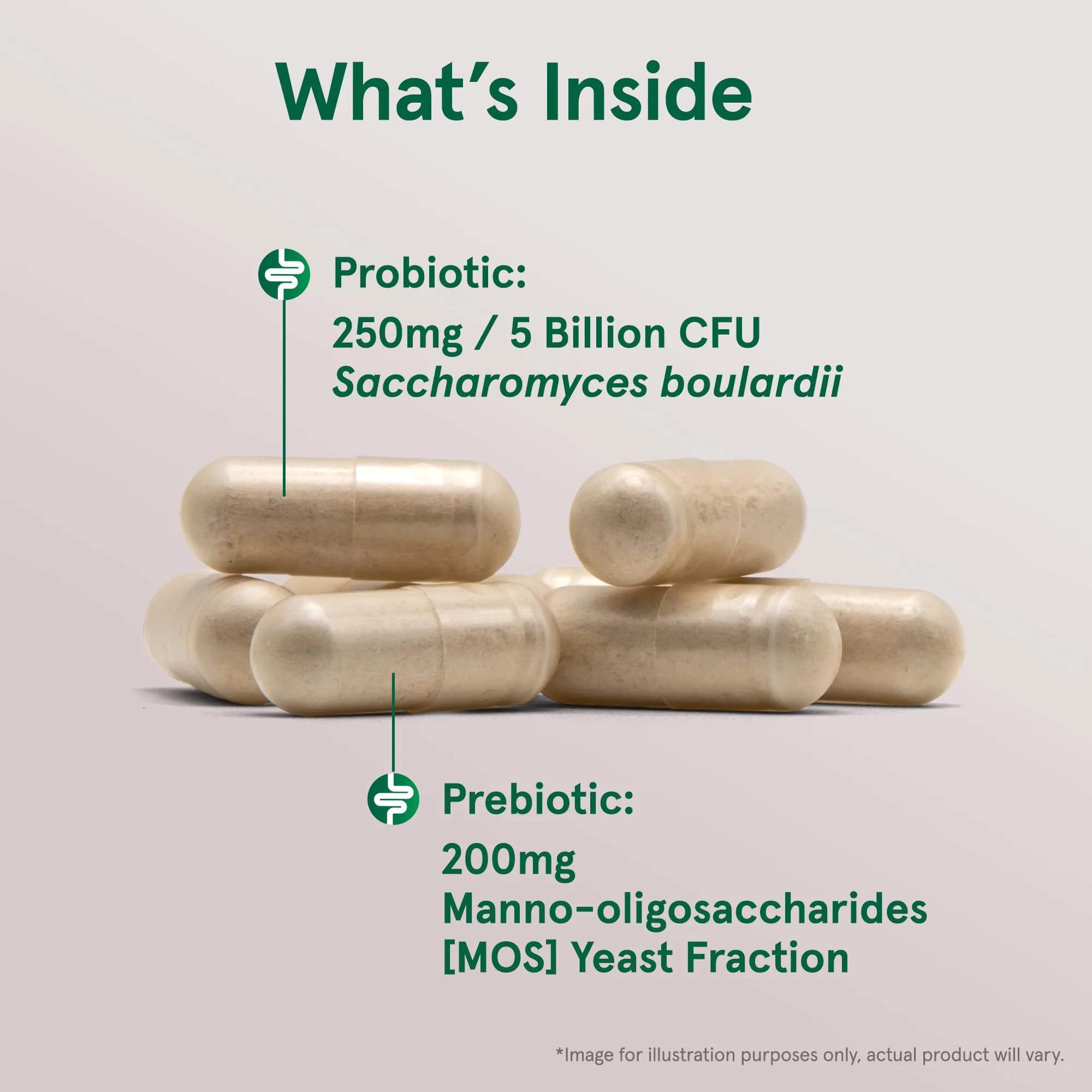 Jarrow Formulas Saccharomyces Boulardii + MOS 180 Servings (Pack of 12) - Probiotic for Digestive Health - view 3