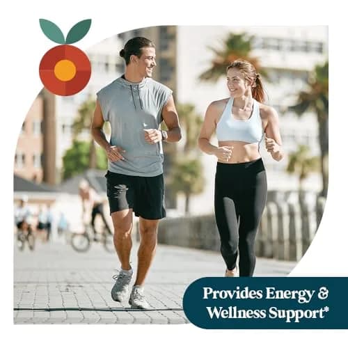 Pattern Wellness Vitamin B12 Liquid 2 fl. oz (60mL) – Vegan Citrus Flavor for Energy & Immunity Support thumbnail 4