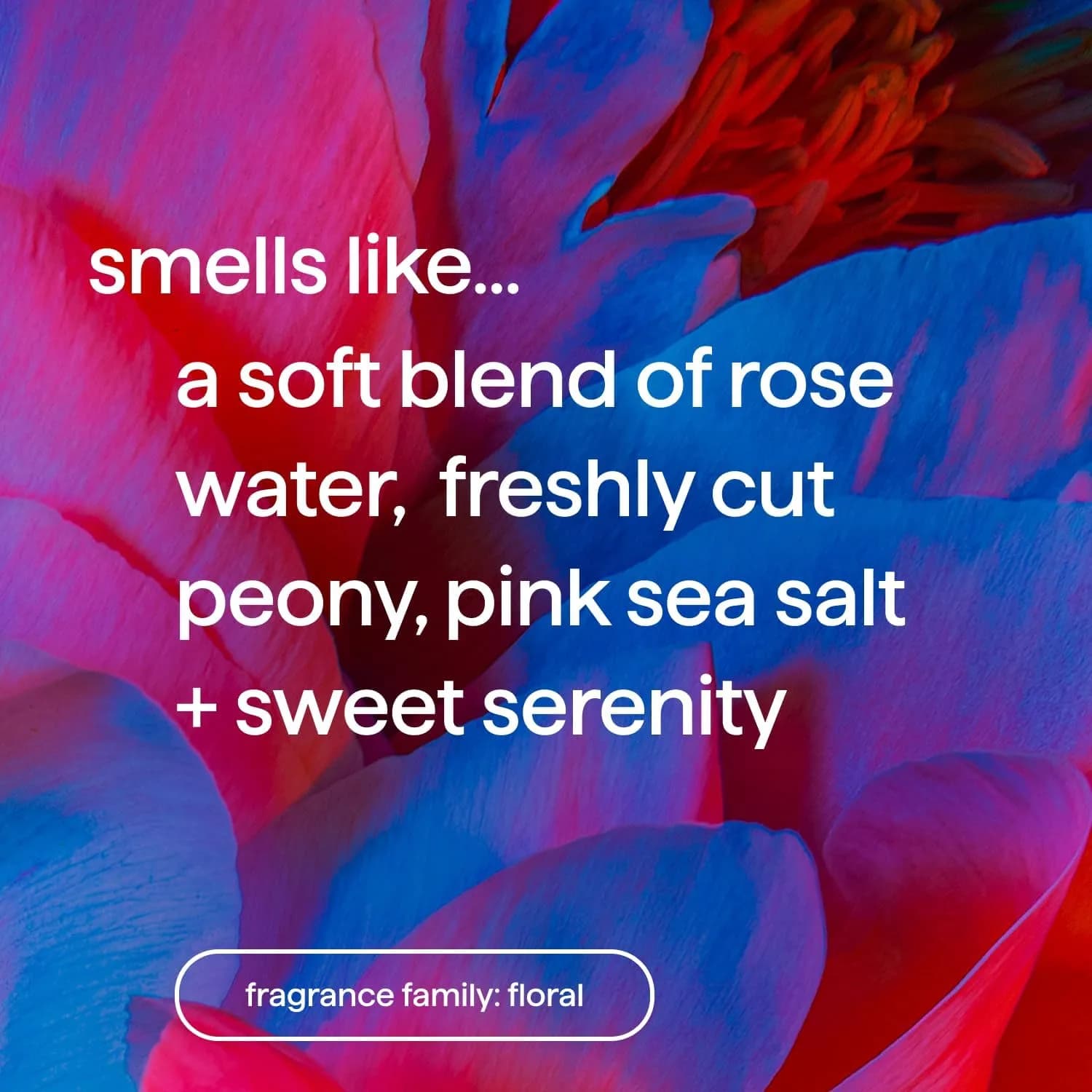 Method Pure Peace Body Wash with Peony, Rose Water & Pink Sea Salt, 794g (28 oz) | Gentle Hydrating Cleanser - view 2