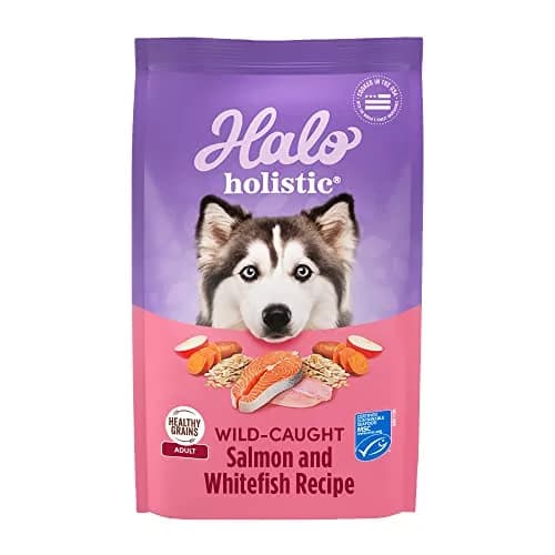 Halo Holistic Dry Dog Food, Wild-Caught Salmon & Whitefish Recipe, 3.5 lb | Supports Digestive & Skin Health thumbnail 1