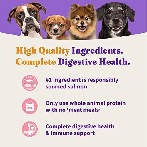 Halo Holistic Dry Dog Food, Wild-Caught Salmon & Whitefish Recipe, 3.5 lb | Supports Digestive & Skin Health thumbnail 6