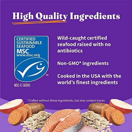 Halo Holistic Dry Dog Food, Wild-Caught Salmon & Whitefish Recipe, 3.5 lb | Supports Digestive & Skin Health thumbnail 7